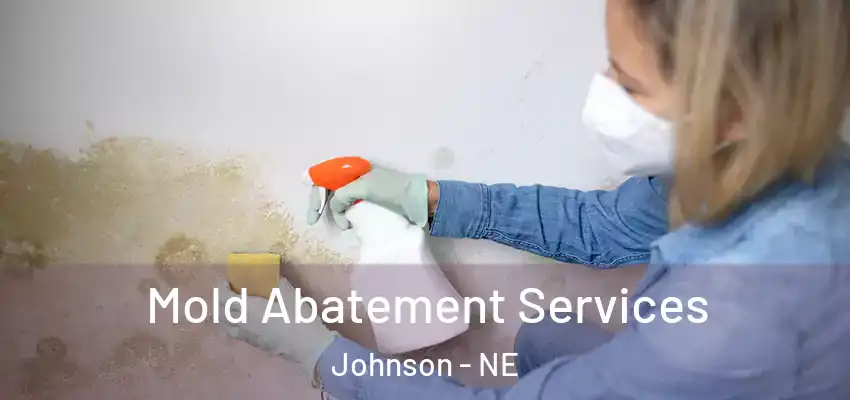 Mold Abatement Services Johnson - NE