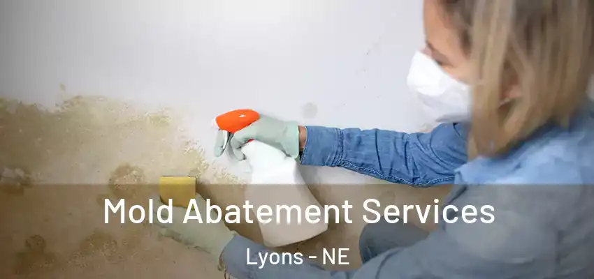Mold Abatement Services Lyons - NE