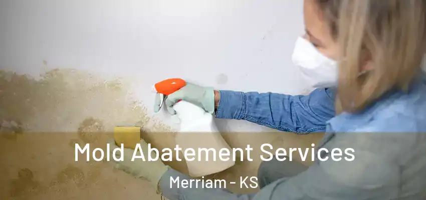  Mold Abatement Services Merriam - KS
