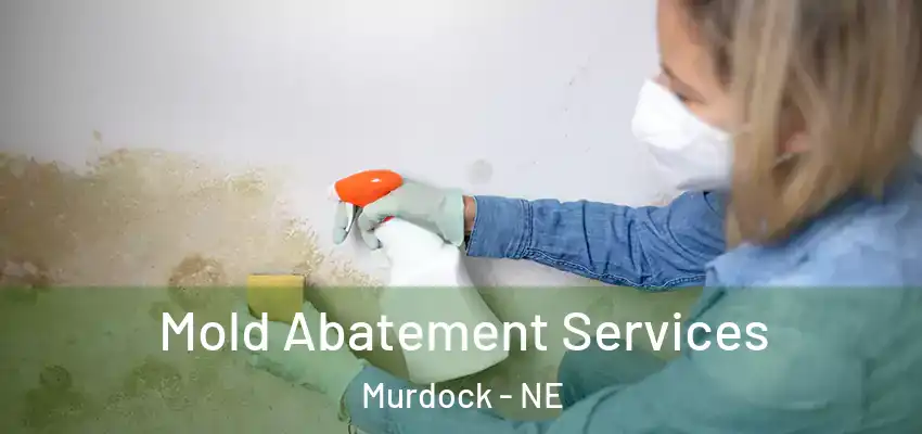  Mold Abatement Services Murdock - NE