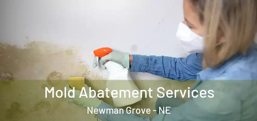  Mold Abatement Services Newman Grove - NE