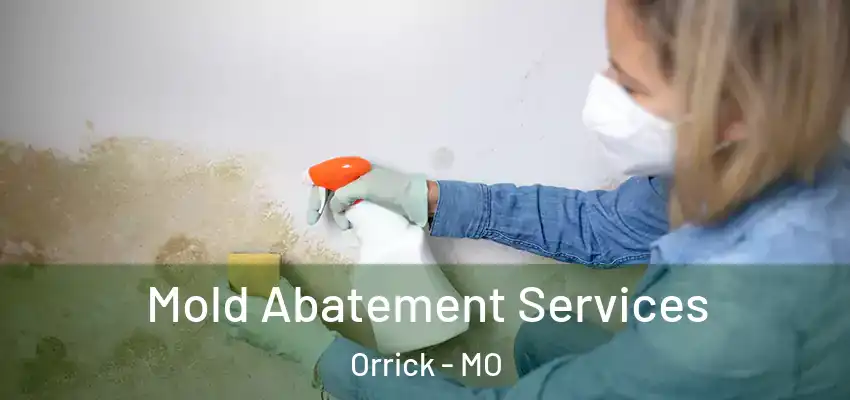 Mold Abatement Services Orrick - MO