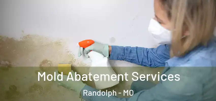  Mold Abatement Services Randolph - MO
