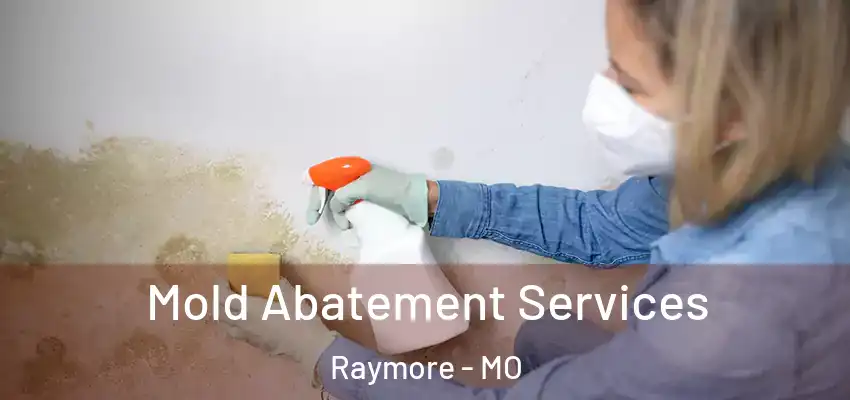  Mold Abatement Services Raymore - MO