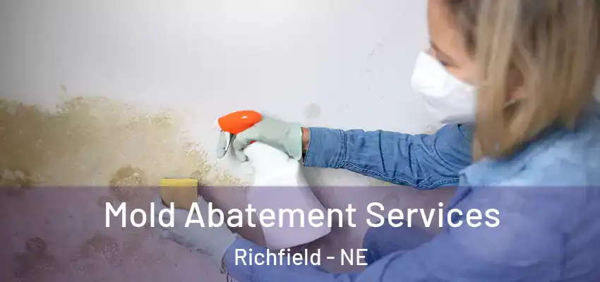 Mold Abatement Services Richfield - NE