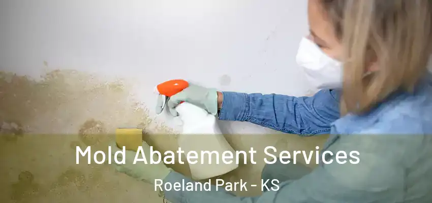Mold Abatement Services Roeland Park - KS