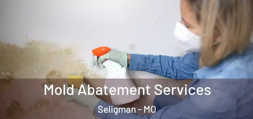  Mold Abatement Services Seligman - MO