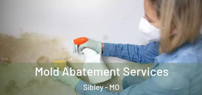  Mold Abatement Services Sibley - MO