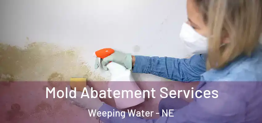 Mold Abatement Services Weeping Water - NE