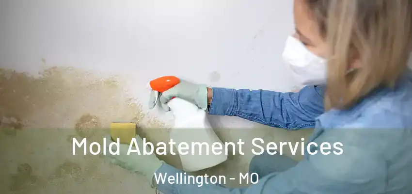 Mold Abatement Services Wellington - MO