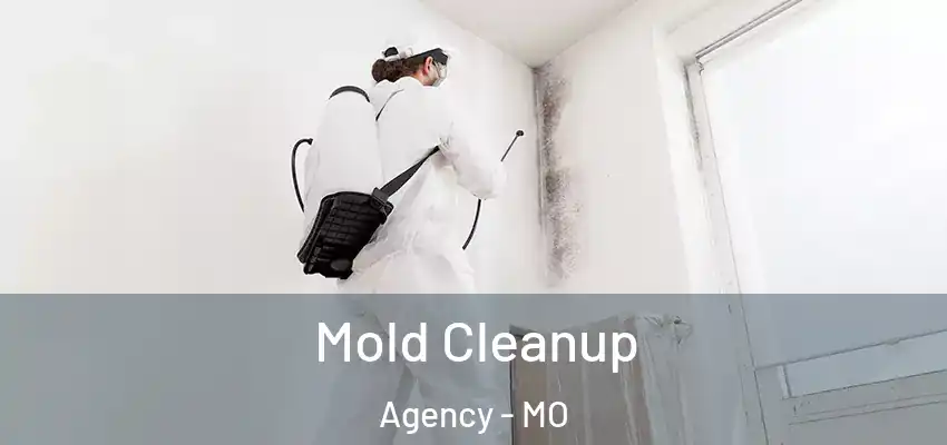  Mold Cleanup Agency - MO