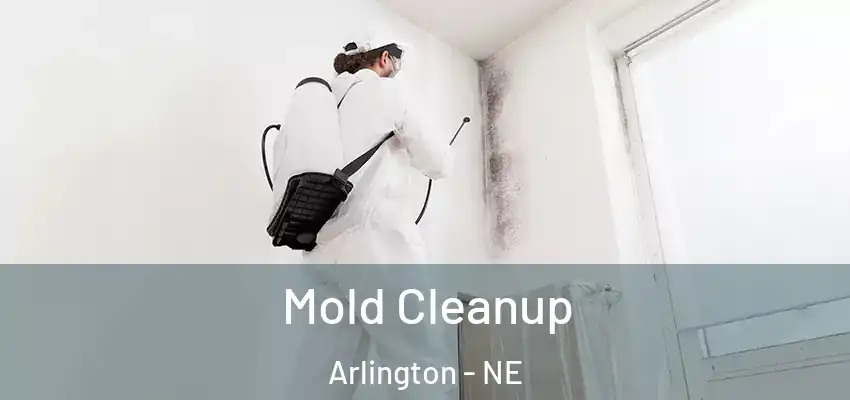  Mold Cleanup Arlington - NE