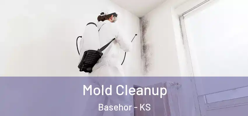  Mold Cleanup Basehor - KS