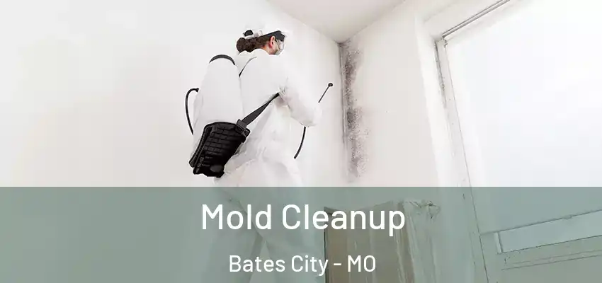  Mold Cleanup Bates City - MO