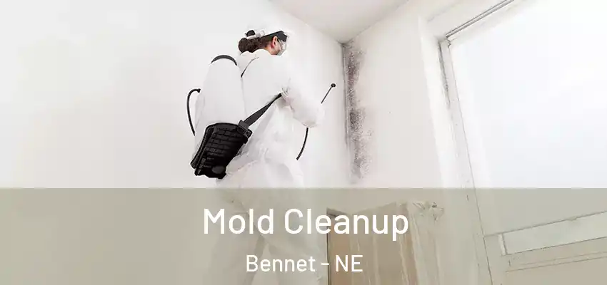  Mold Cleanup Bennet - NE