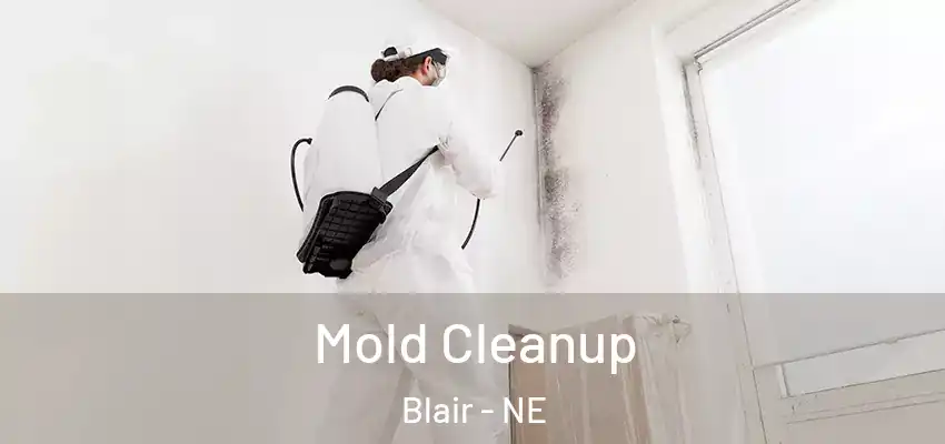  Mold Cleanup Blair - NE