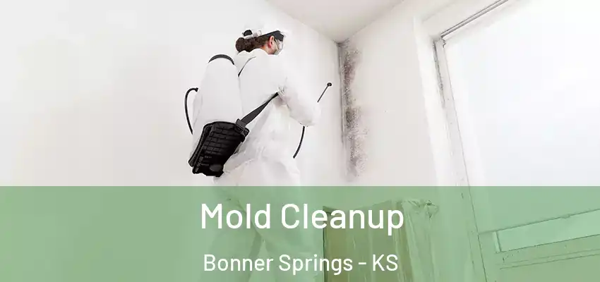 Mold Cleanup Bonner Springs - KS