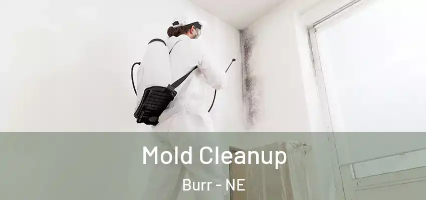  Mold Cleanup Burr - NE