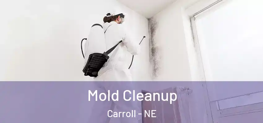  Mold Cleanup Carroll - NE