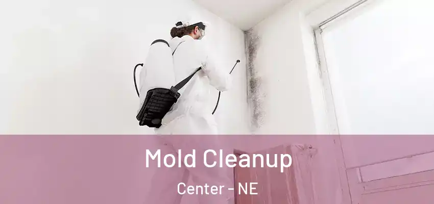  Mold Cleanup Center - NE