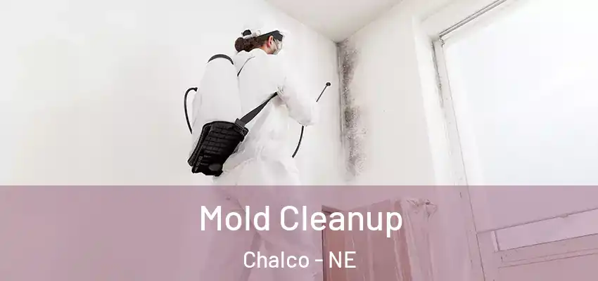  Mold Cleanup Chalco - NE