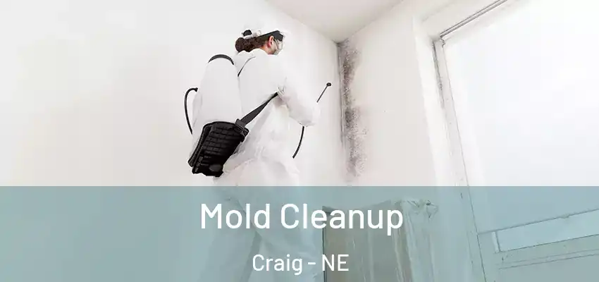  Mold Cleanup Craig - NE