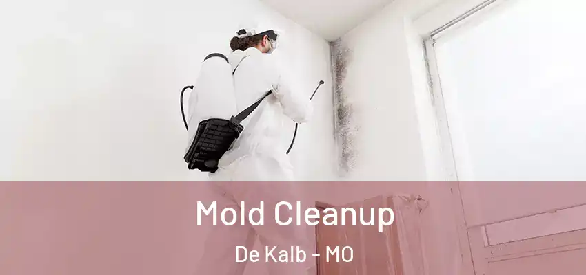  Mold Cleanup De Kalb - MO