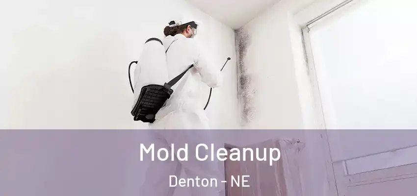 Mold Cleanup Denton - NE
