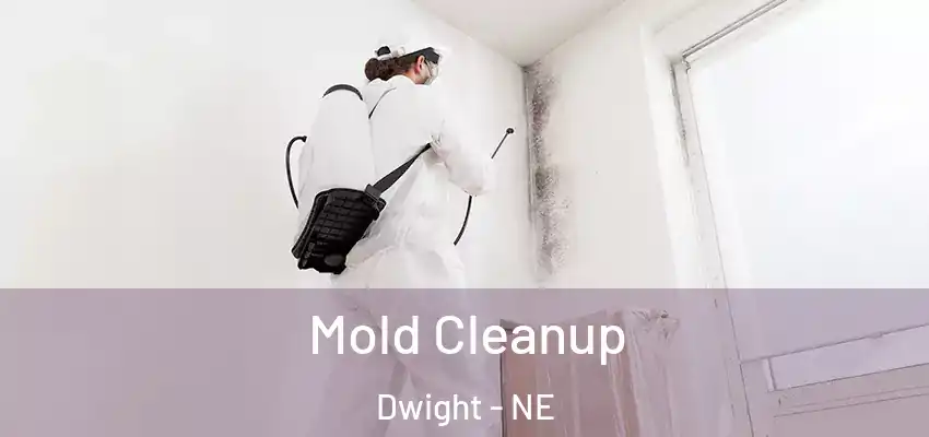  Mold Cleanup Dwight - NE