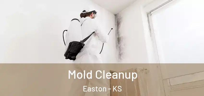  Mold Cleanup Easton - KS