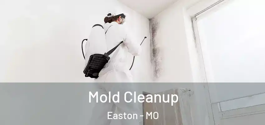  Mold Cleanup Easton - MO