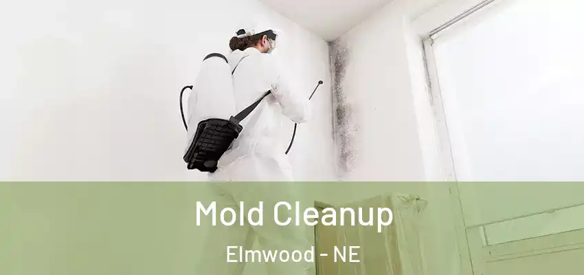  Mold Cleanup Elmwood - NE