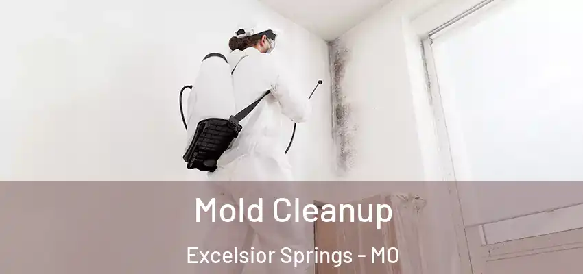 Mold Cleanup Excelsior Springs - MO
