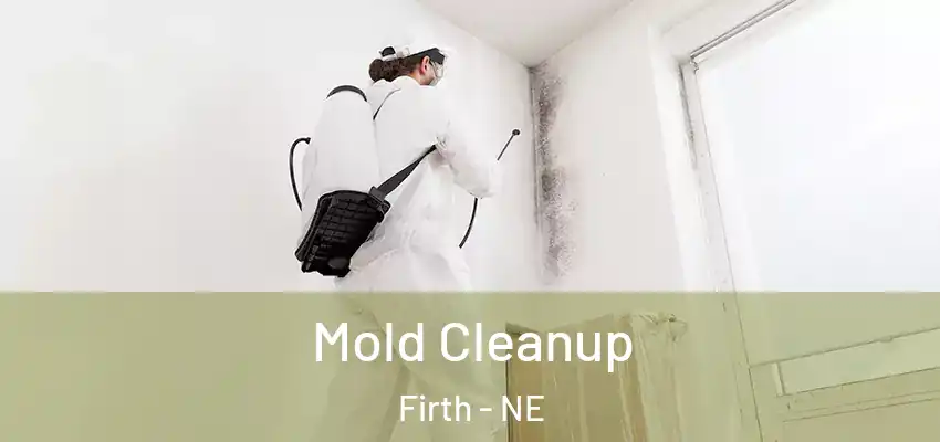  Mold Cleanup Firth - NE