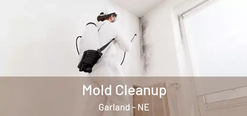  Mold Cleanup Garland - NE