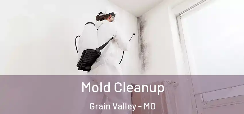  Mold Cleanup Grain Valley - MO