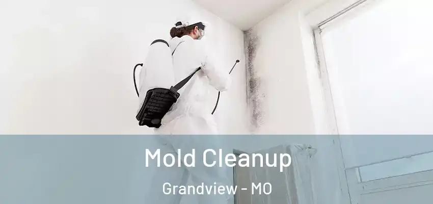Mold Cleanup Grandview - MO