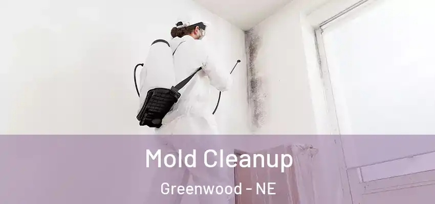  Mold Cleanup Greenwood - NE