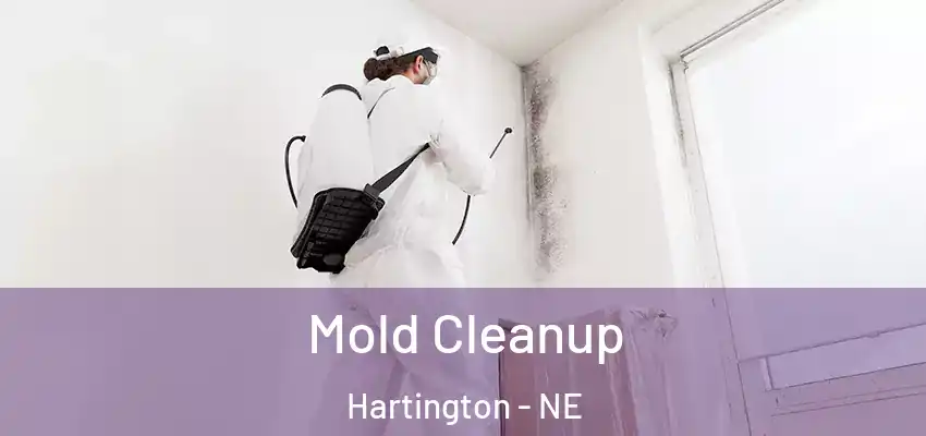  Mold Cleanup Hartington - NE