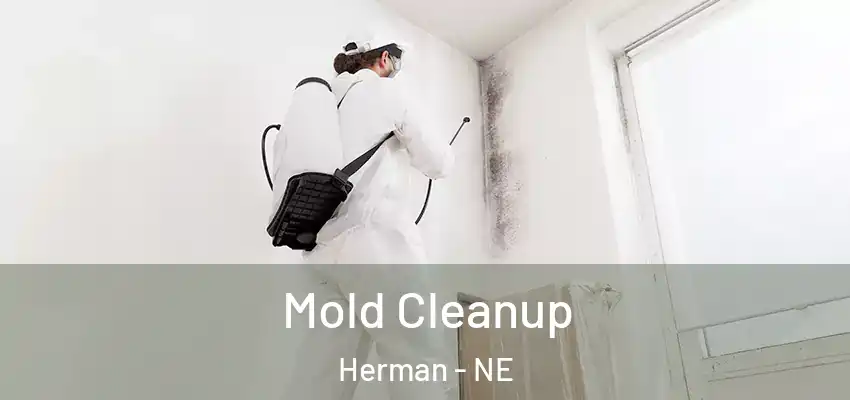 Mold Cleanup Herman - NE