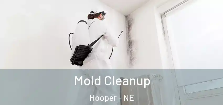 Mold Cleanup Hooper - NE