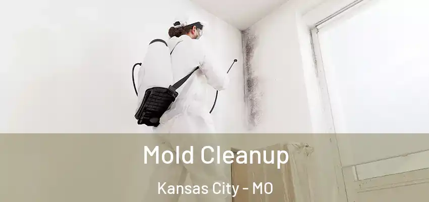  Mold Cleanup Kansas City - MO