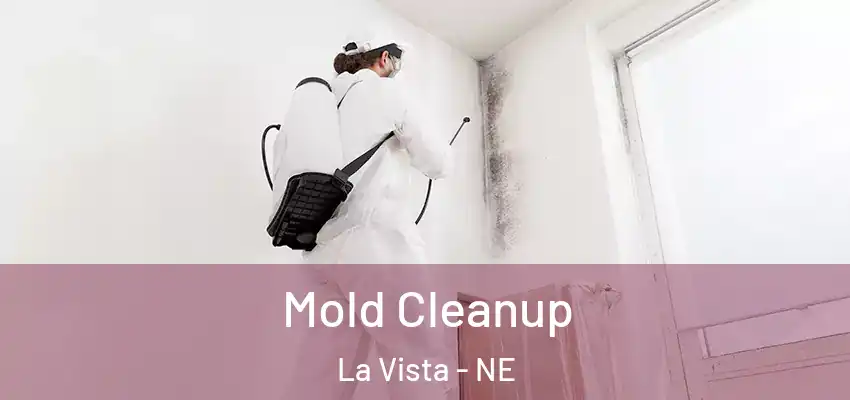Mold Cleanup La Vista - NE