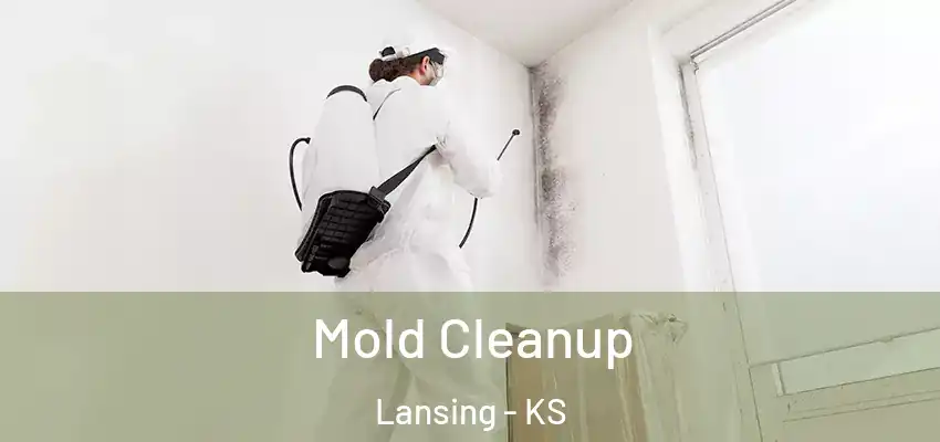  Mold Cleanup Lansing - KS