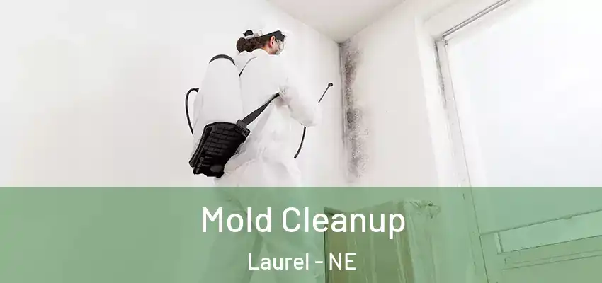 Mold Cleanup Laurel - NE