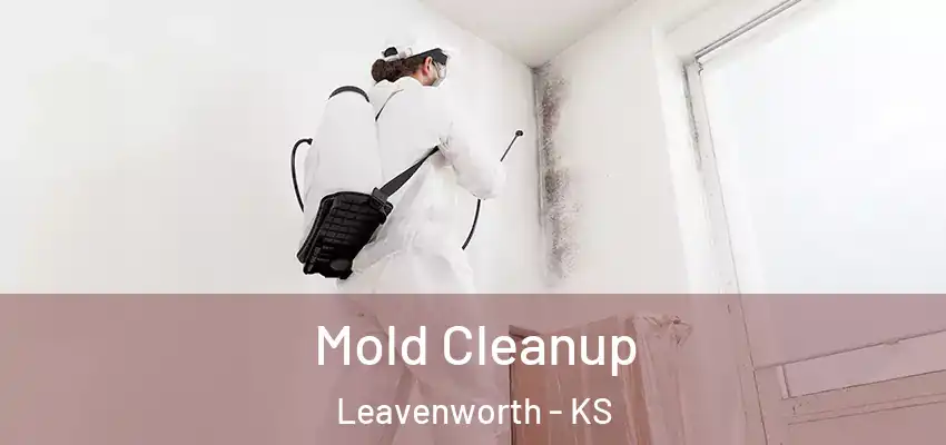  Mold Cleanup Leavenworth - KS