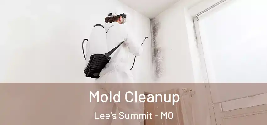 Mold Cleanup Lee's Summit - MO