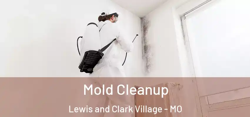 Mold Cleanup Lewis and Clark Village - MO