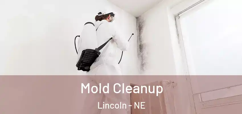  Mold Cleanup Lincoln - NE