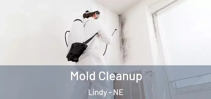  Mold Cleanup Lindy - NE